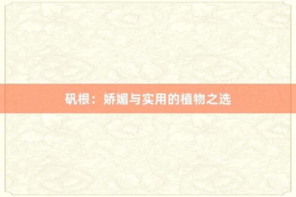 矾根：娇媚与实用的植物之选