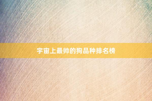 宇宙上最帅的狗品种排名榜
