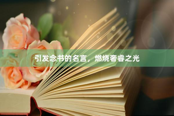 引发念书的名言，燃烧奢睿之光
